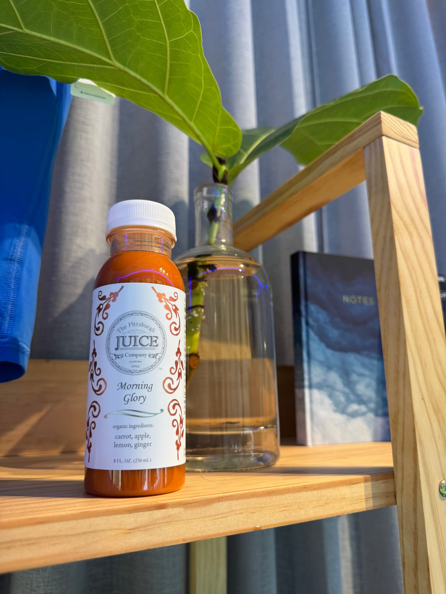 The Pittsburgh Juice Company Morning Glory